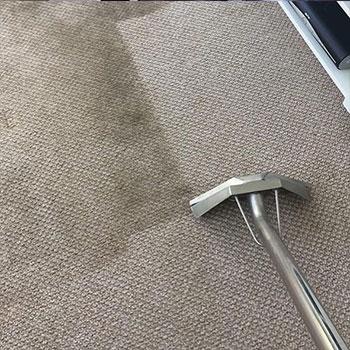 The Benefits Of Hiring A Professional Carpet Cleaner: Why You Shouldn’t DIY