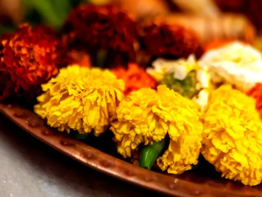 Traditional puja flowers