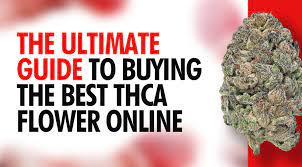 Unveiling the Marvels of THCa Flower: Your Ultimate Guide [2024 Edition]